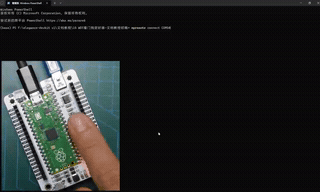 mmexport1782381424354.gif